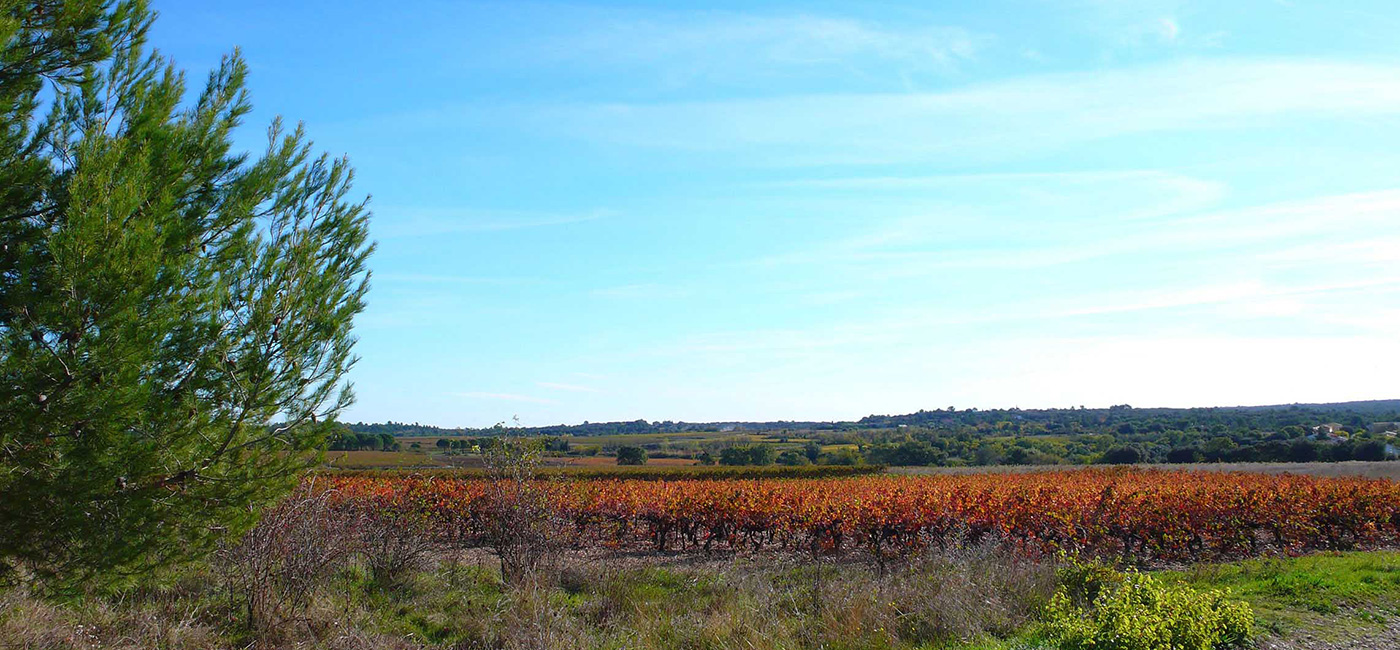 domaine_bancel