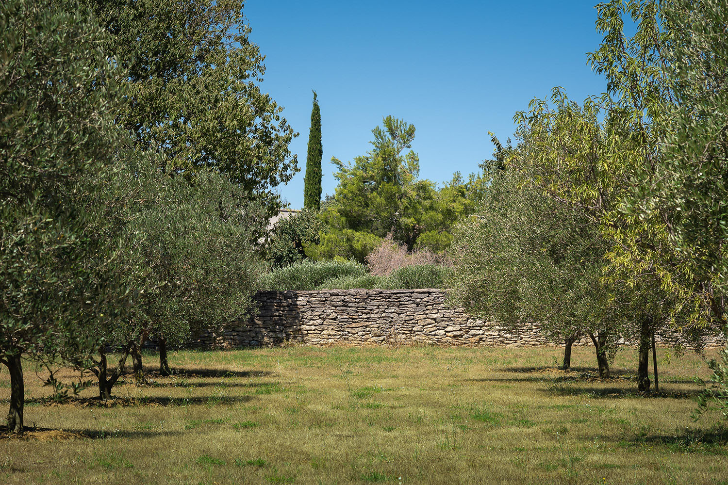 photo-18_Villa-Oliveda_achat-maison-Uzès-Gard-Provençal-Sud-de-la-France
