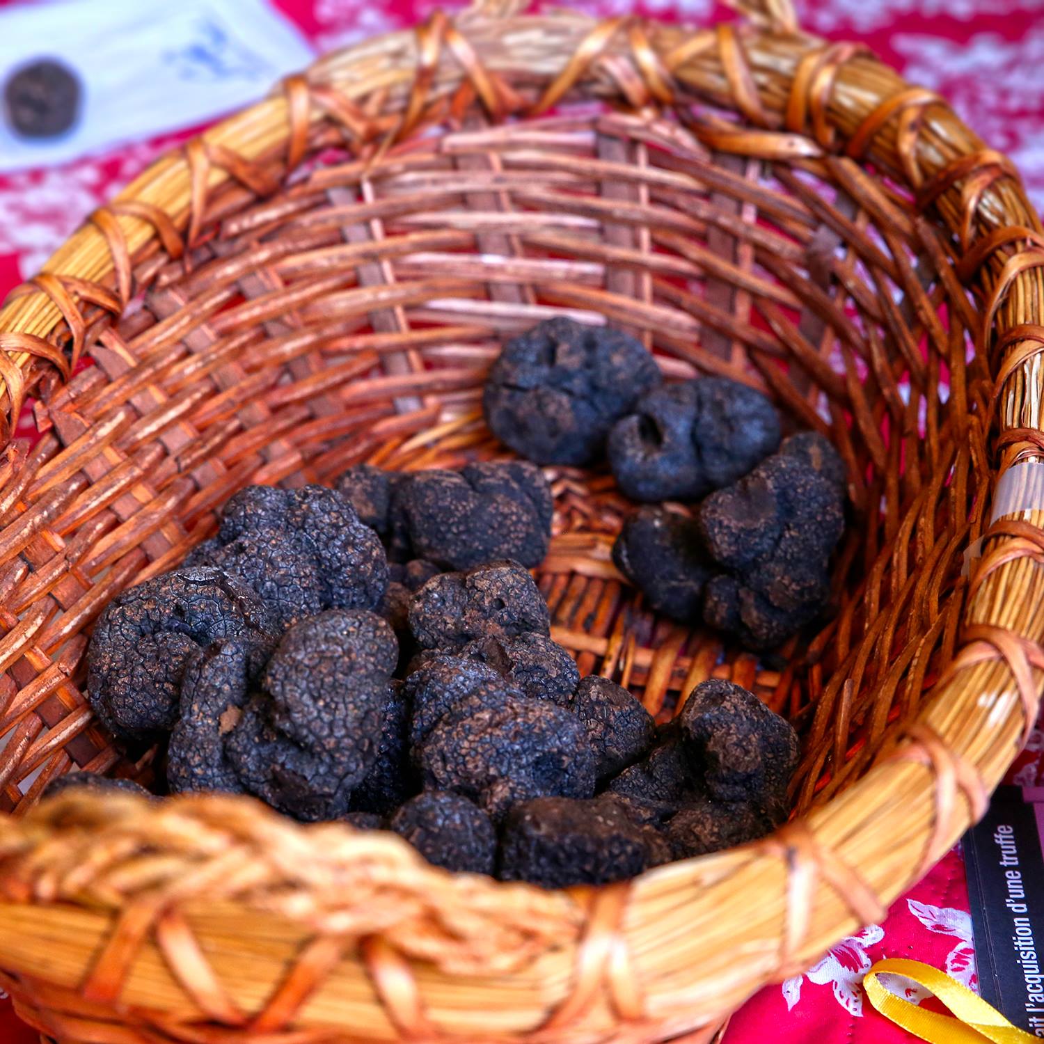 Fête de la truffe à Uzès_01